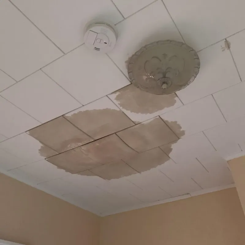 Ceiling Water Damage Repair in Swanville, ME