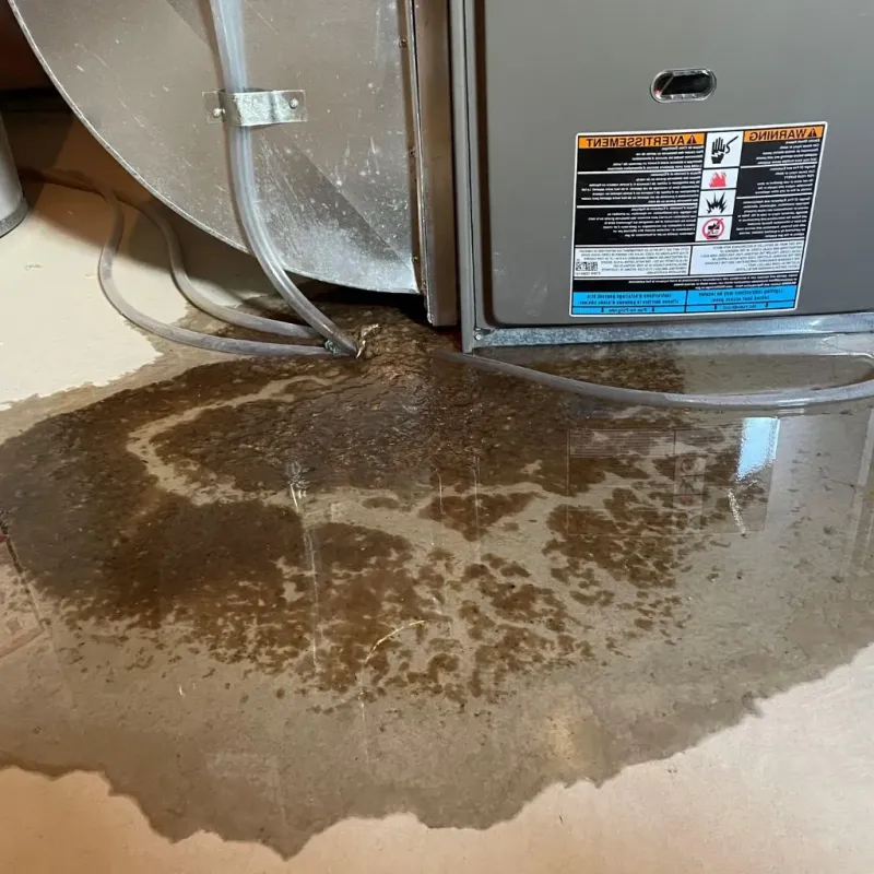 Pipe Burst and Leak Restoration in Swanville, ME