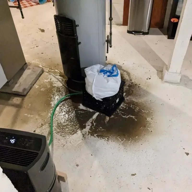 Sewage Backup Cleanup Service in Swanville, ME